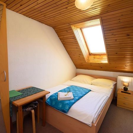 Penzion Vila Bistrica Bohinjska Bistrica Екстериор снимка