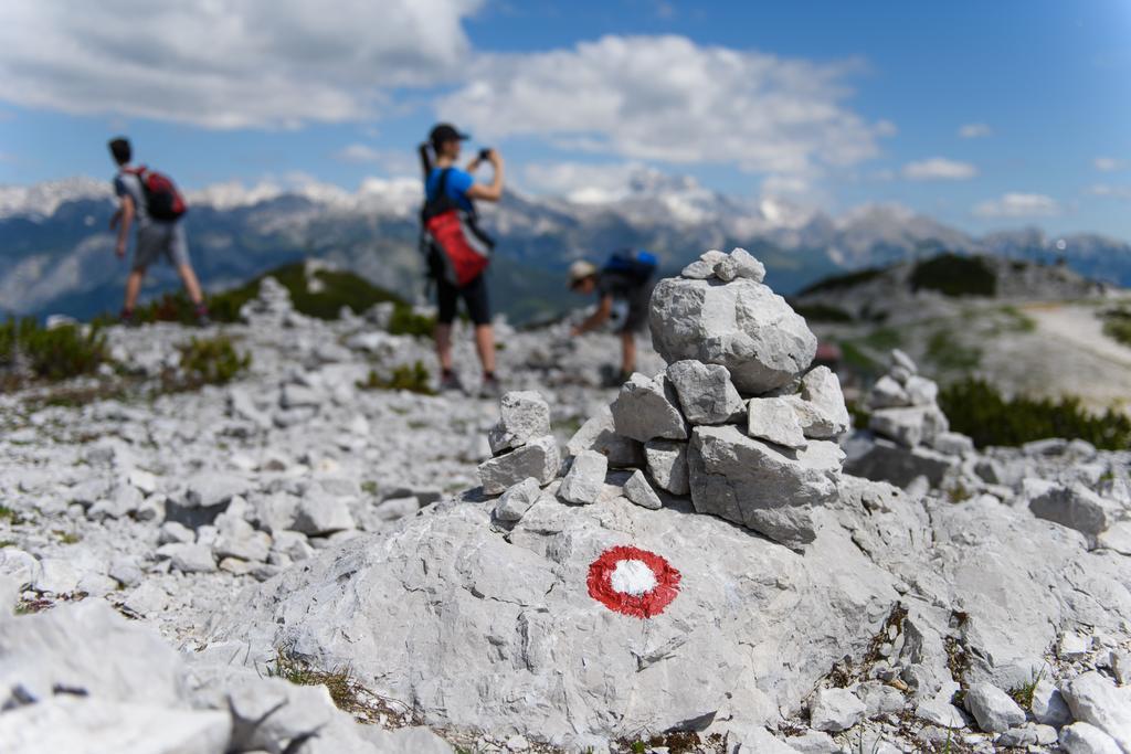 Penzion Vila Bistrica Bohinjska Bistrica Екстериор снимка