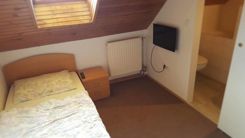Penzion Vila Bistrica Bohinjska Bistrica Екстериор снимка